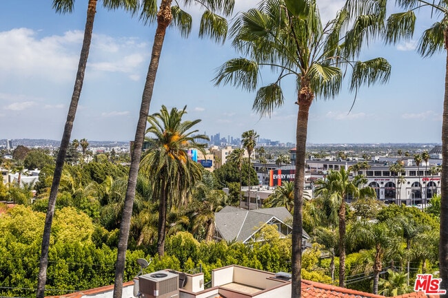 Building Photo - 1541 Selma Dr