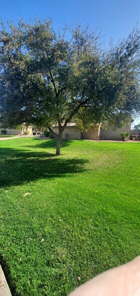 Building Photo - 3825 E Camelback Rd