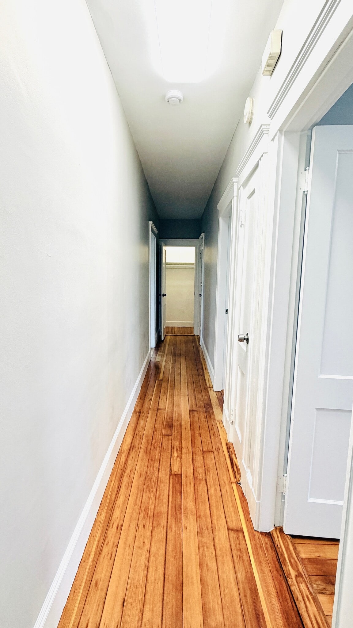 Hallway - 89 Glendower Rd