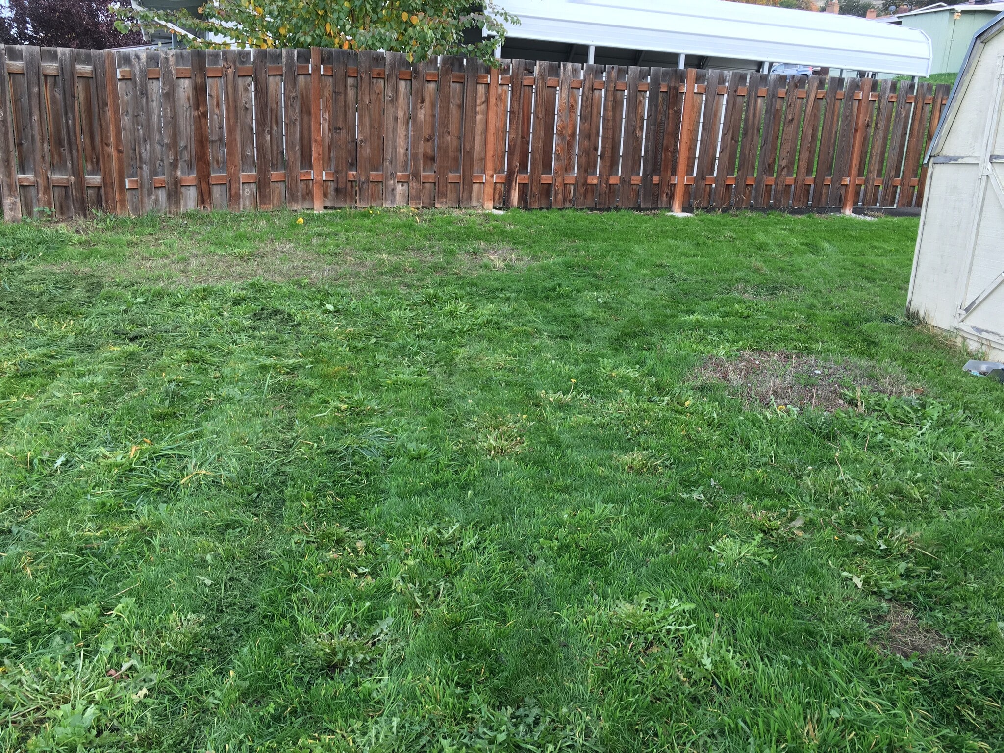 Building Photo - 1608 Montana St