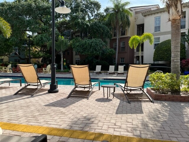 Afternoon sun at the pool - 410 S Armenia Ave