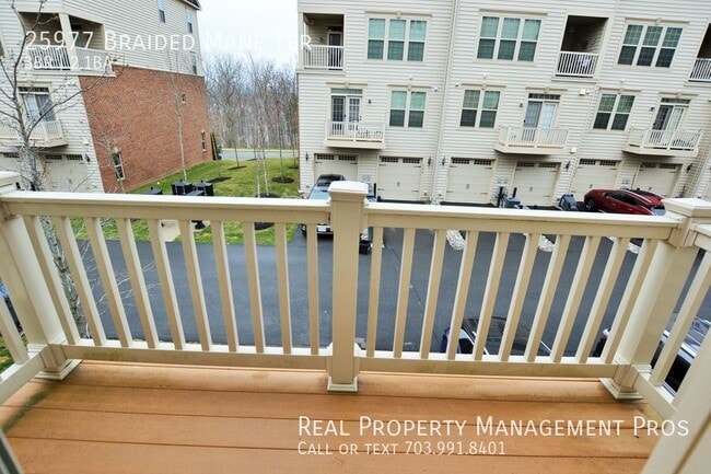 Building Photo - 25977 Braided Mane Terrace