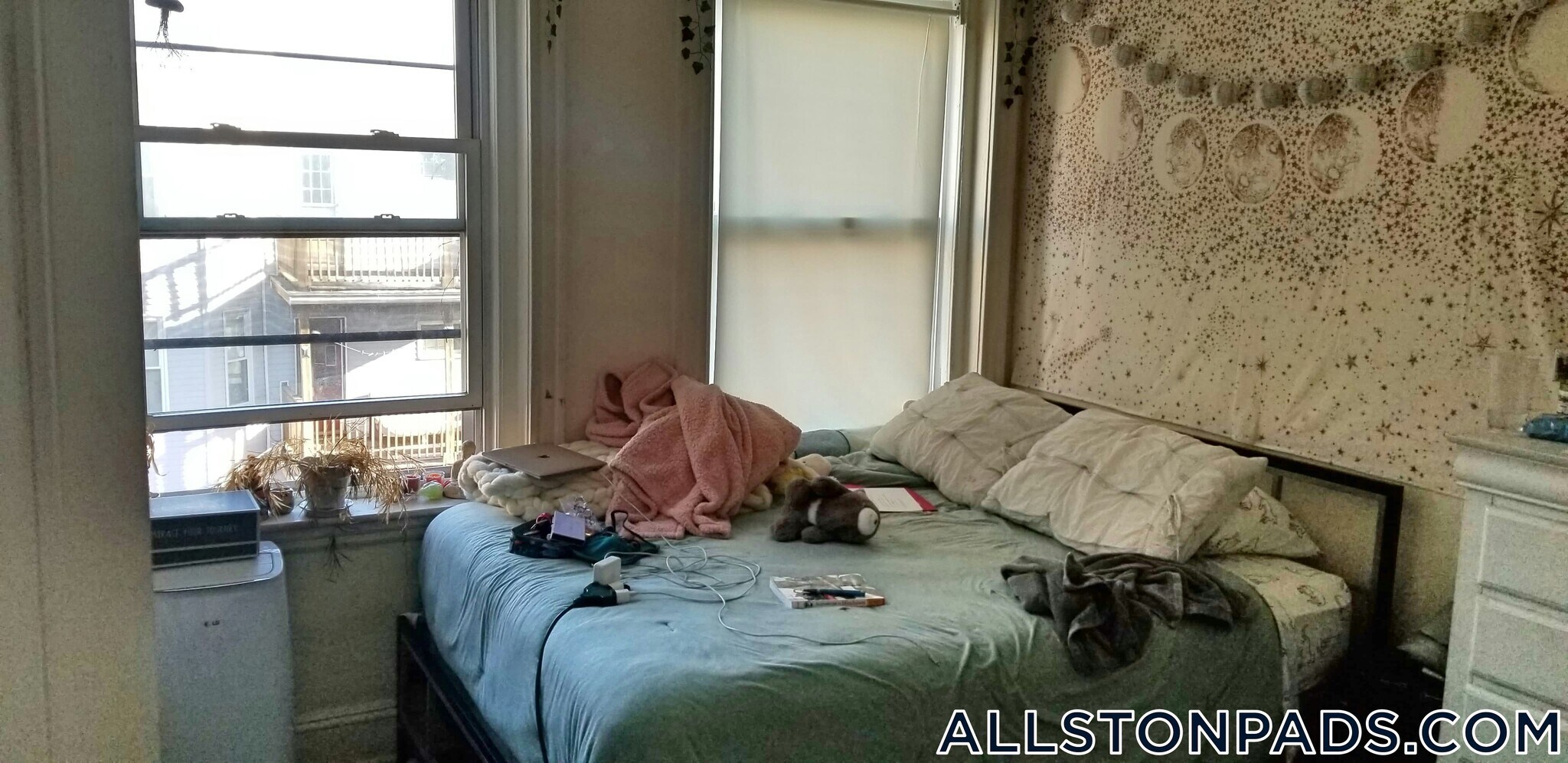 Building Photo - 50 Chester St