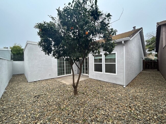 Building Photo - 1316 Gargotto Ct