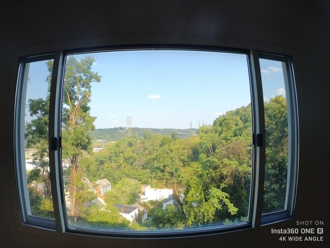 View from living room - 3137 Josephine St
