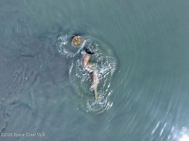 Building Photo - 300 Columbia Dr