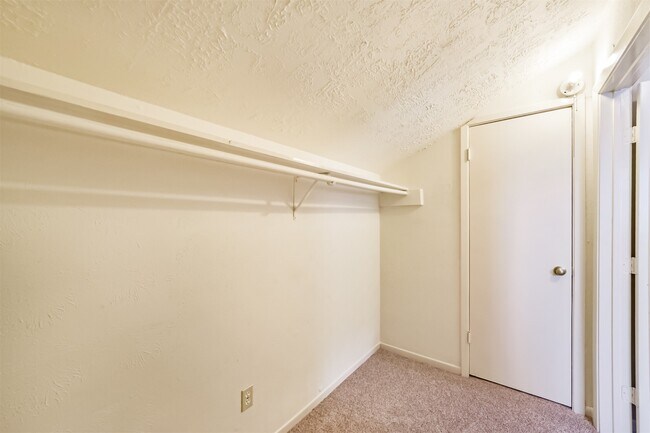 Building Photo - 3 Hedgebell Ct