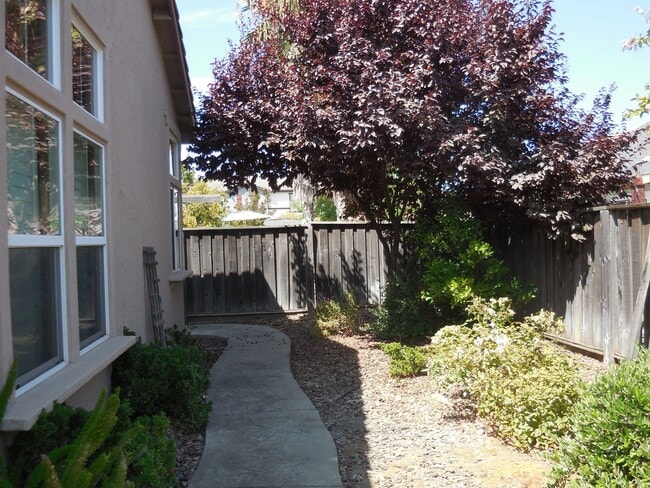 Building Photo - Spacious Single Story Home in Springlake!