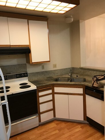 Kitchen - 996 Belmont Terrace