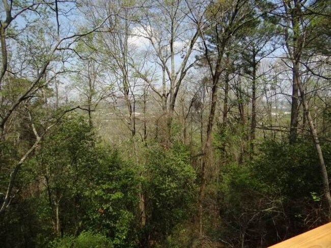 Building Photo - 984 Shades Crest Rd