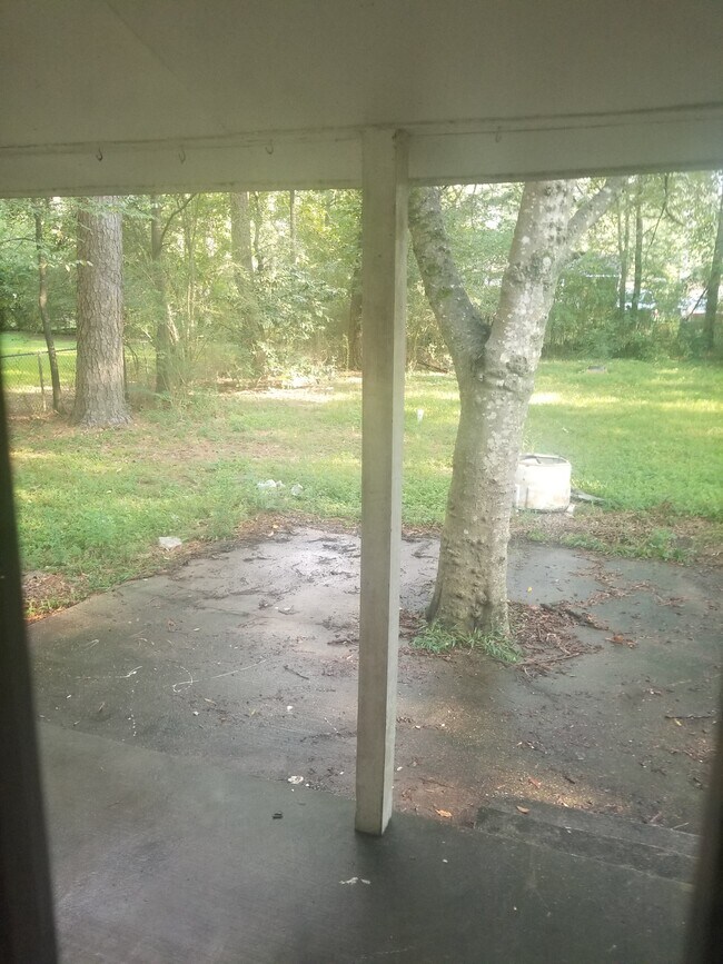 BACKYARD - 333 savana str