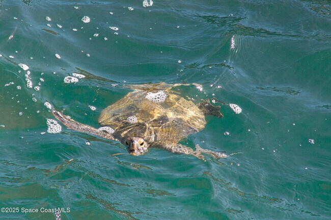 Building Photo - 200 International Dr