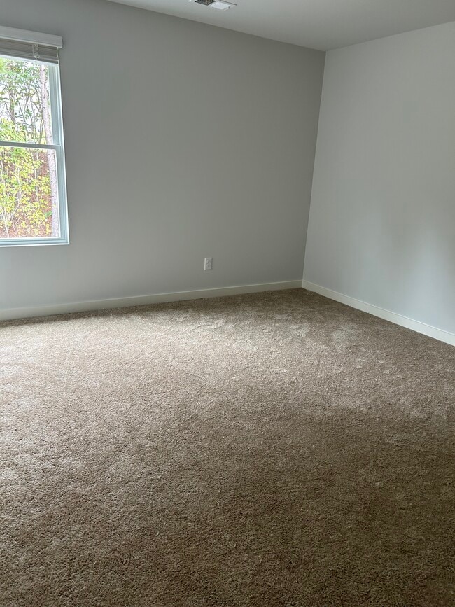 Bedroom at the end of the hall on the right - 226 River Meadow Dr