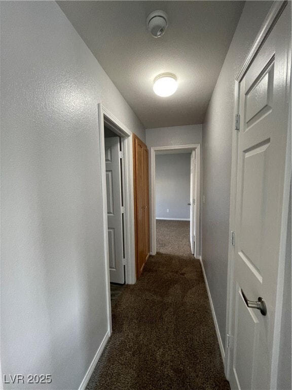 Building Photo - 7481 Catmint St