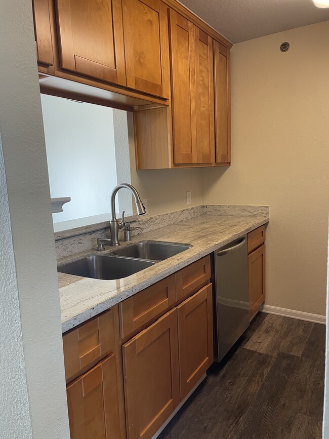 Sink and dishwasher - 685 Dartmore Ln