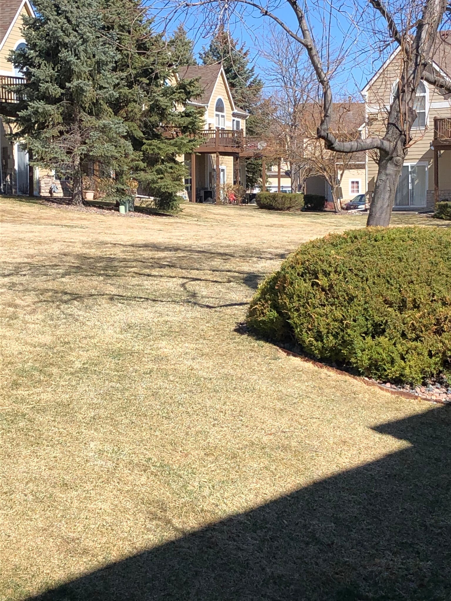 Building Photo - 1727 High Plains Ct