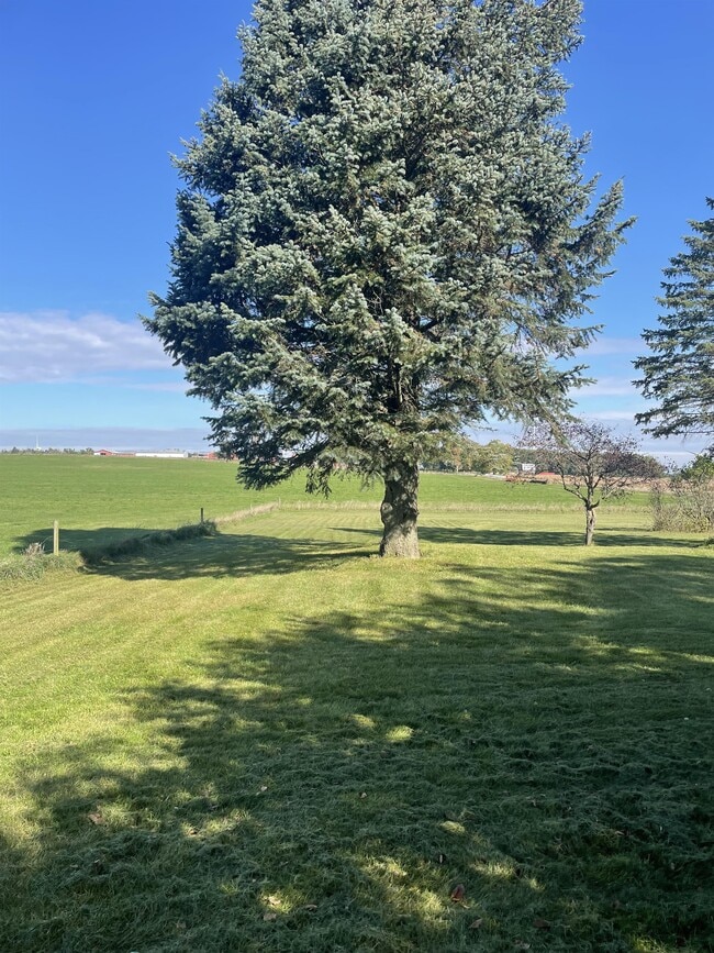 Building Photo - 7020 Brown Rd