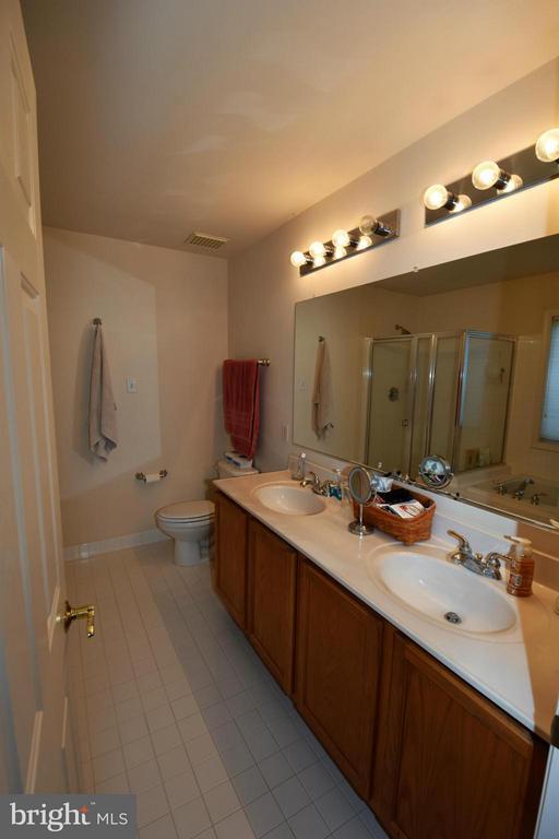 Building Photo - 805 Thicket Ct