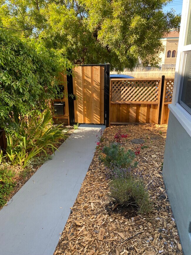 Front yard leading to main gate entrance. - 667 40th St