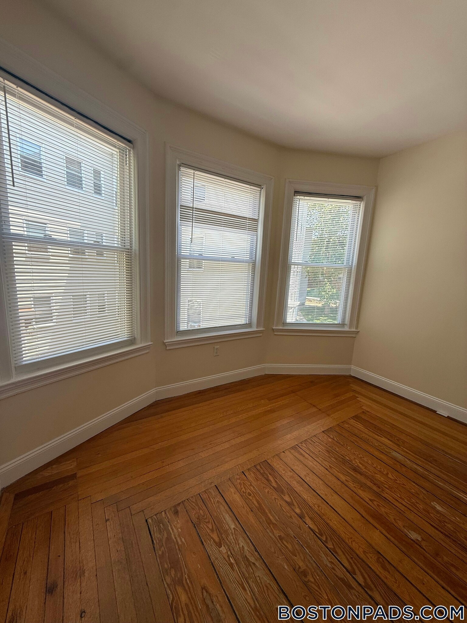 Building Photo - 55 Ashford St