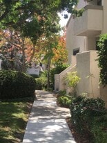 Building Photo - 8470 Via Sonoma