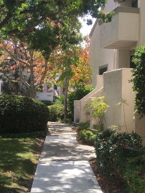 Building Photo - 8470 Via Sonoma