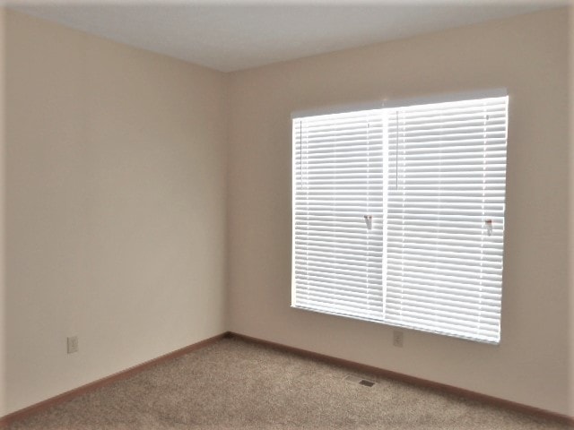 Building Photo - 1017 Sun Ridge St