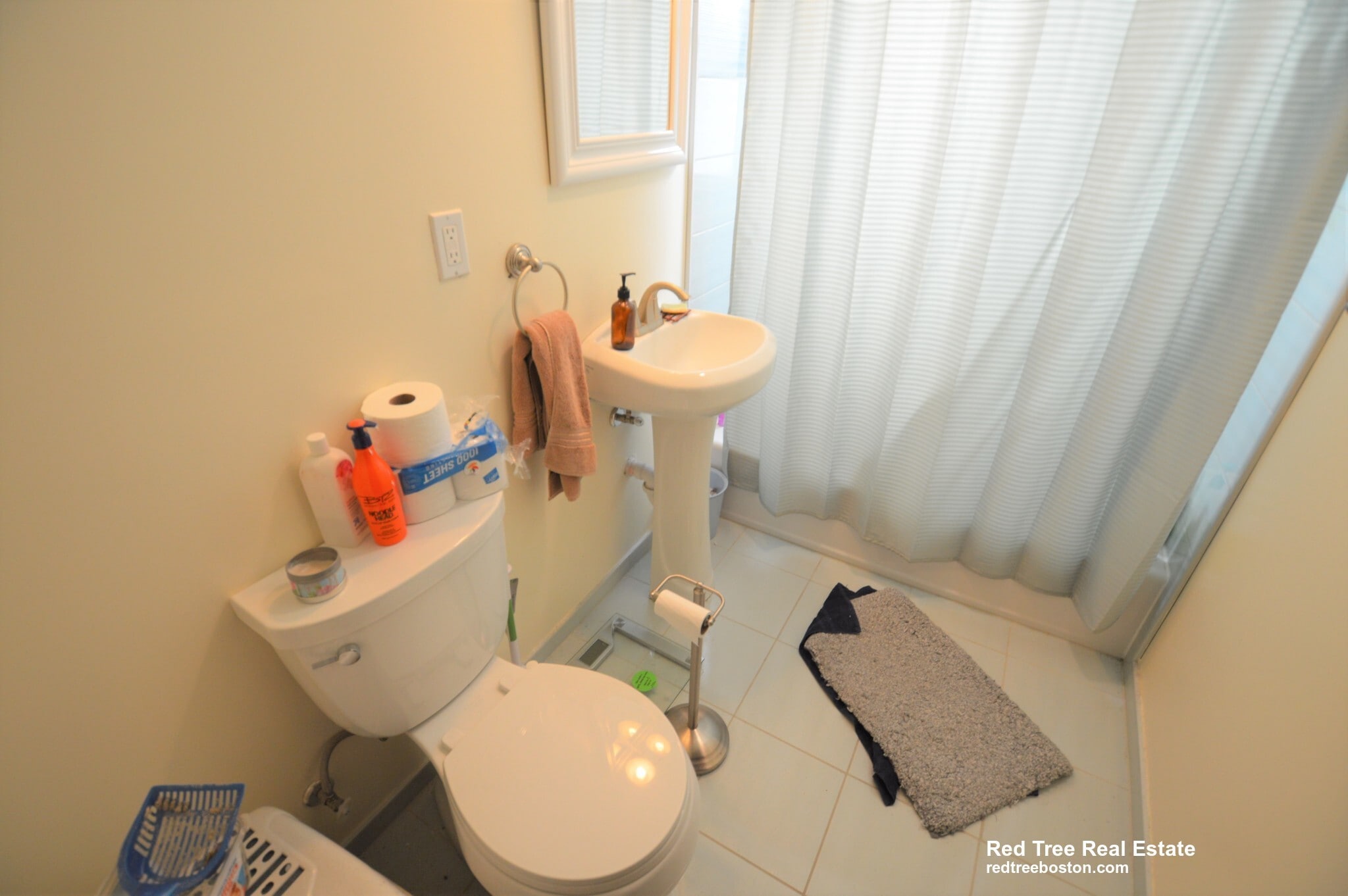 Building Photo - 5 Smythe St