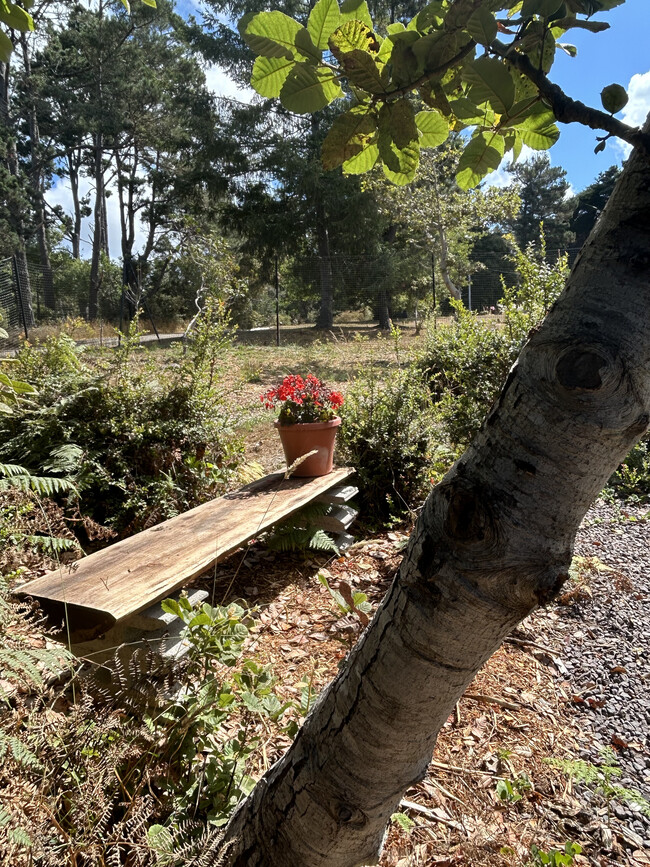 Bench Outside Laundry/Storage Unit - 16575 Franklin Rd