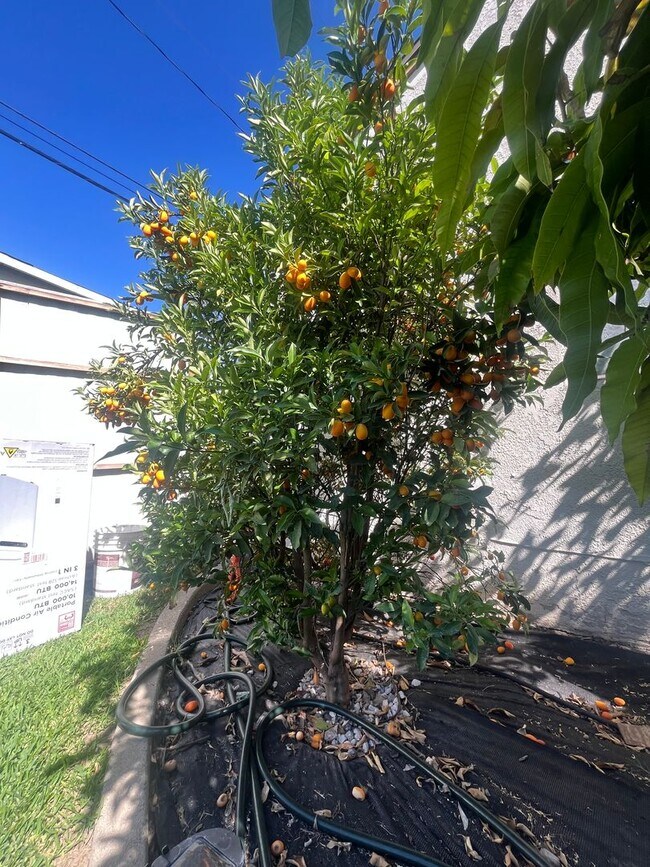 Building Photo - Home with a Cabin Style Family room and backyard Oasis