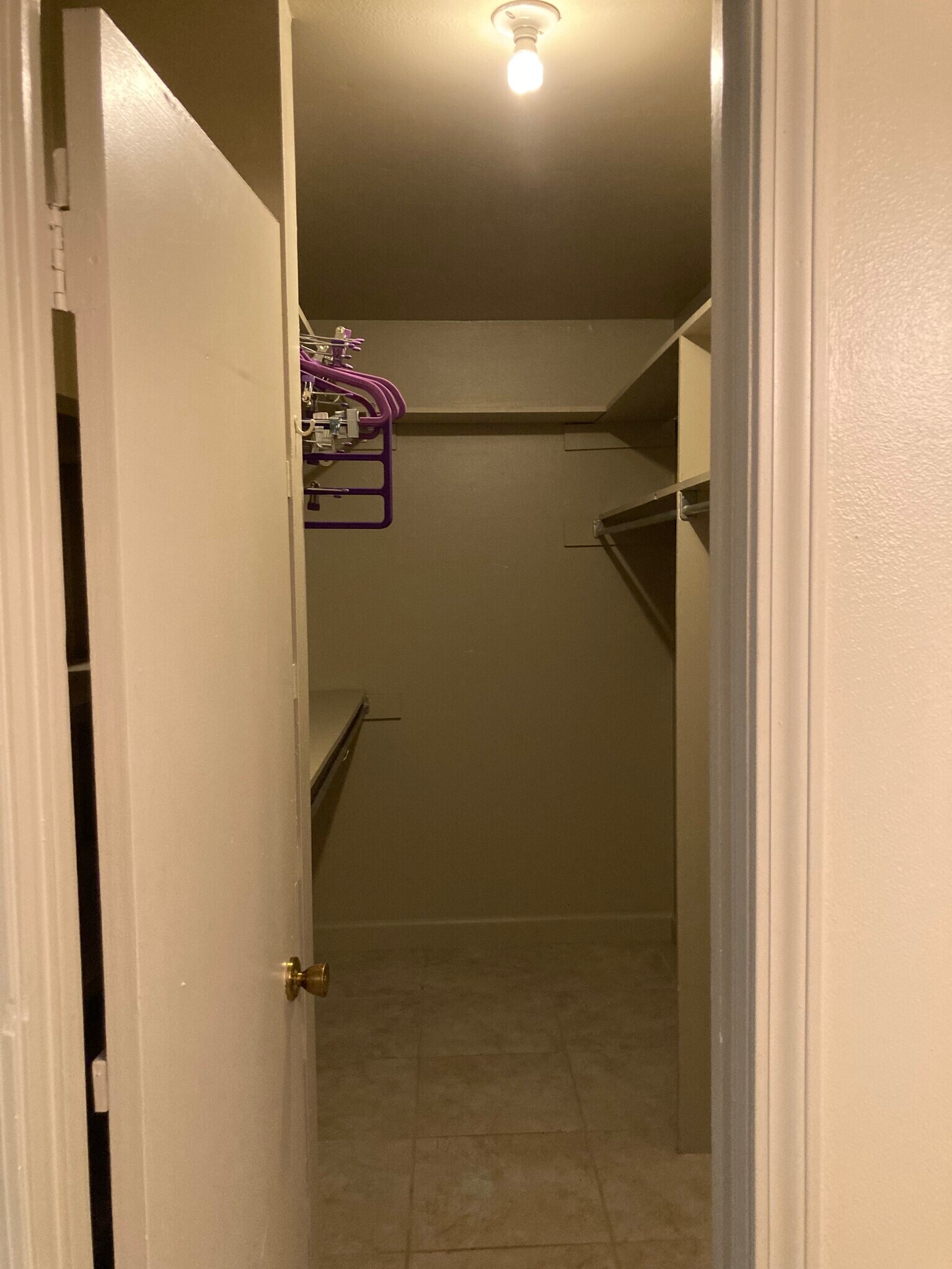 Walk in closet with custom shelving - 3320 N Arnoult Rd