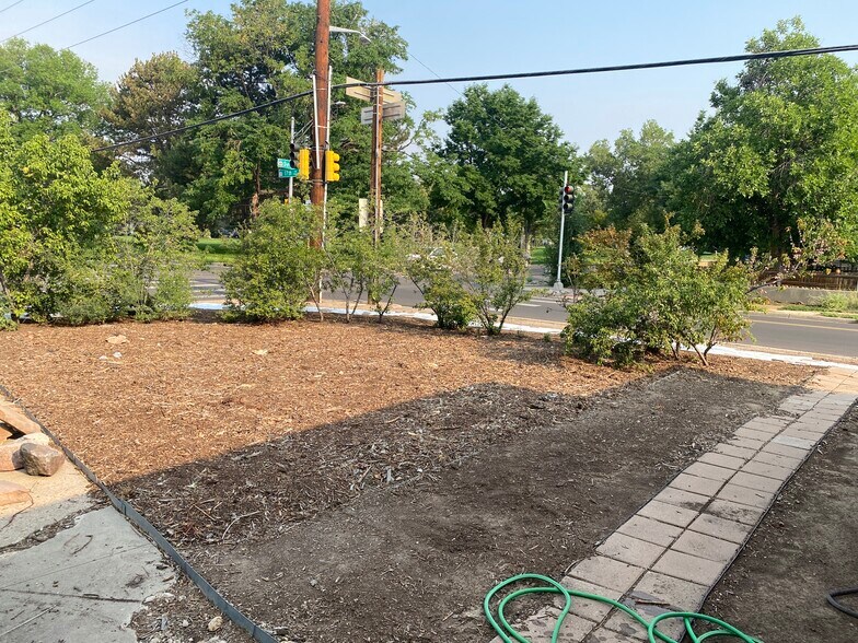 Front orchard prepped for fall planting - 1690 Syracuse St