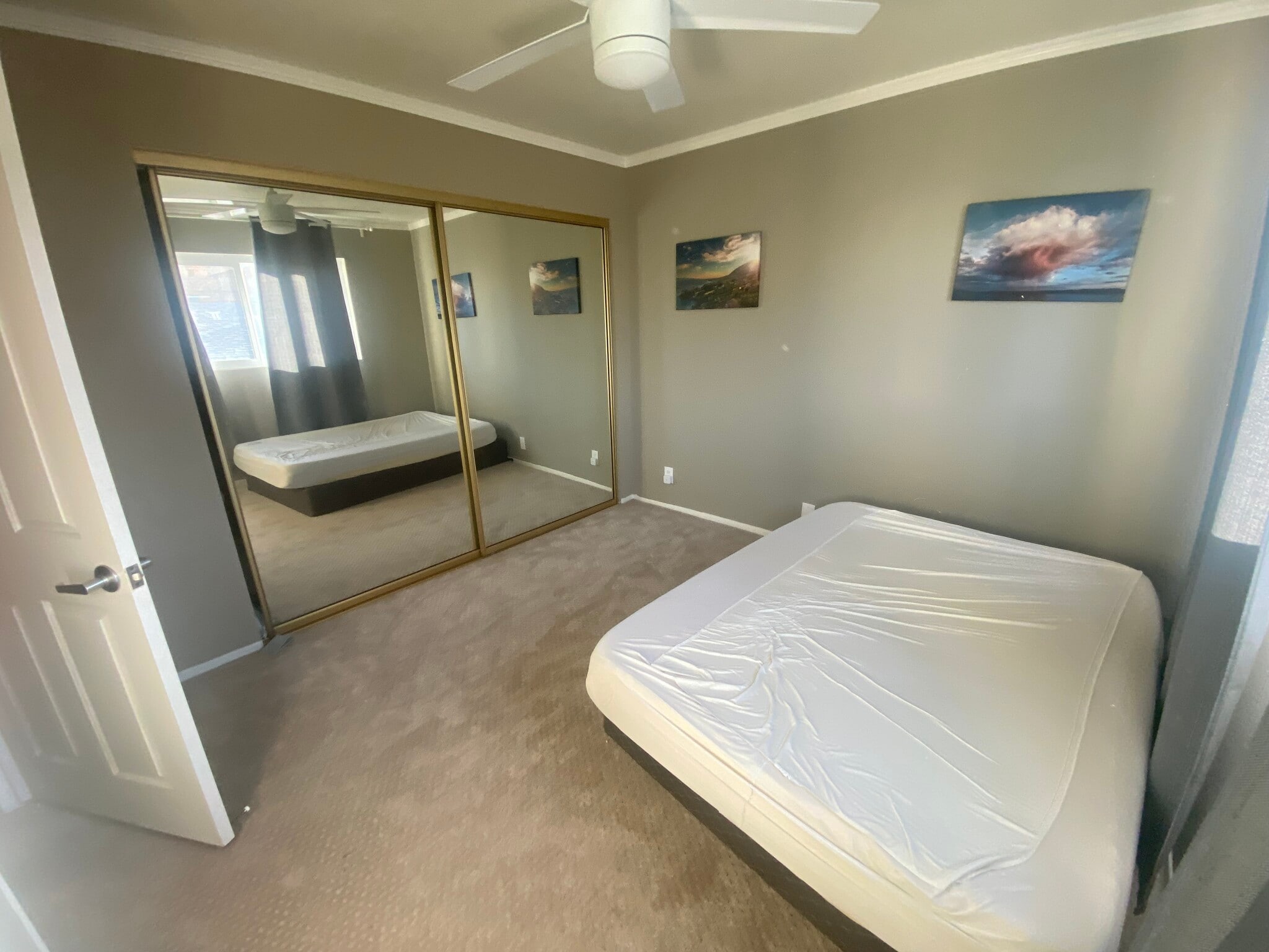 Second bedroom - 802 Magnolia Ave