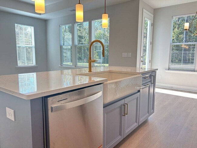 Building Photo - Available now. Beautiful 3 BR/2.5 BA New C...