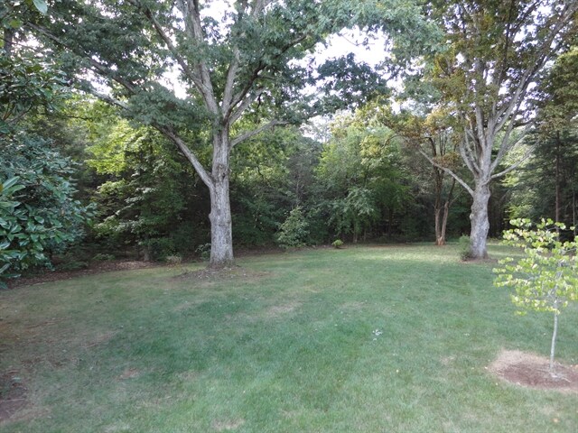 Building Photo - 131 W Chinaberry Ct