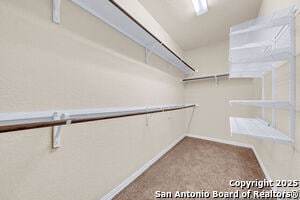 Building Photo - 11623 Sangria