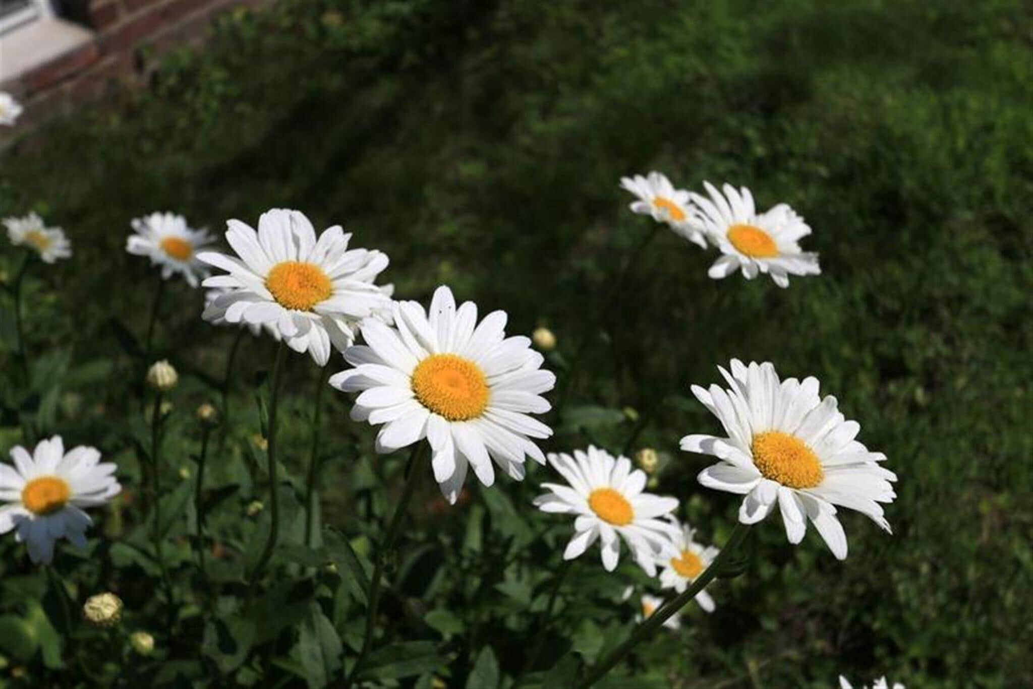 Building Photo - 128 Pine St