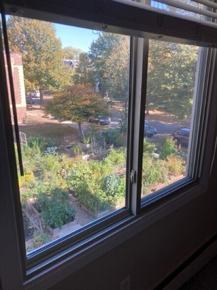 View of the community garden from the bedroom - 3236 Garfield Ave
