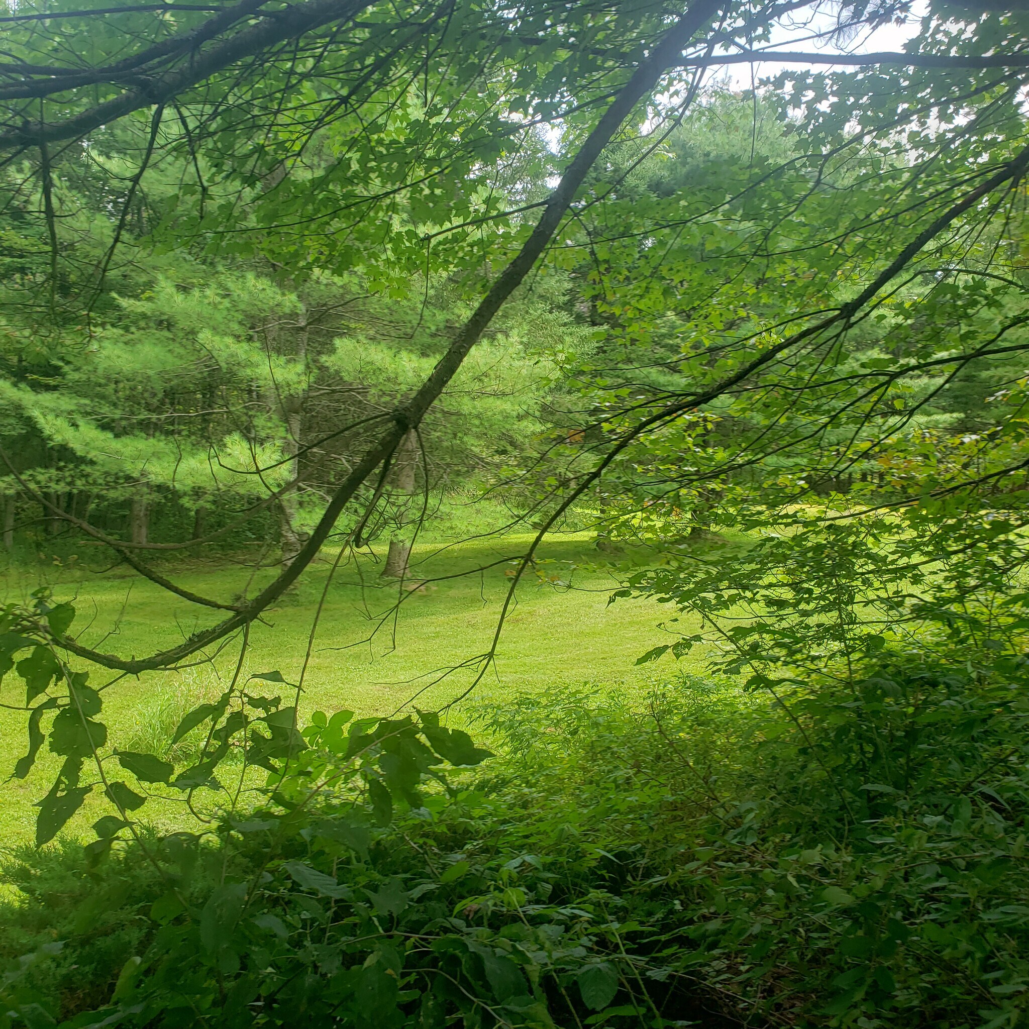 Building Photo - 162 Lancaster Rd