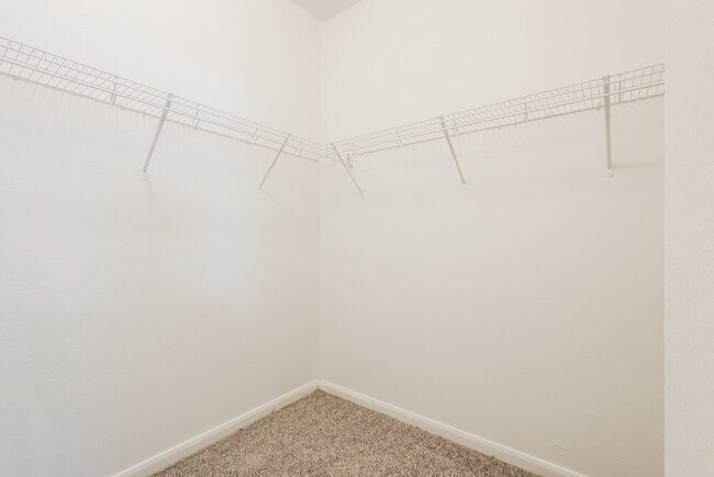 Building Photo - 3015 Rose Trace Dr