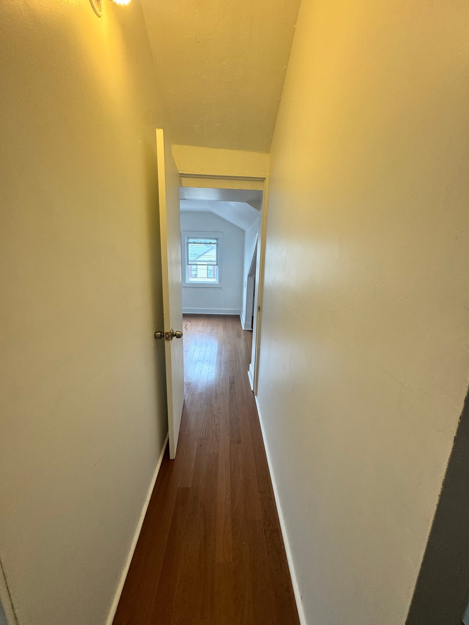 Hallway - 327 Ellery Ave