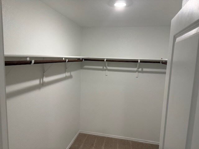 Building Photo - 1021 Mountain Laurel Rd