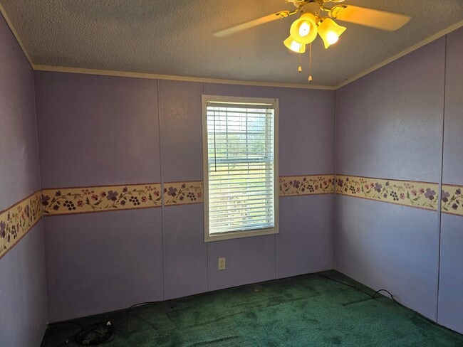 Building Photo - 4 Bed, 2 Bath Ranch in New Hope Area
