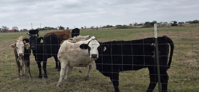 Building Photo - Custom built condo! Country Living! Offered unfurnished OR furnished!