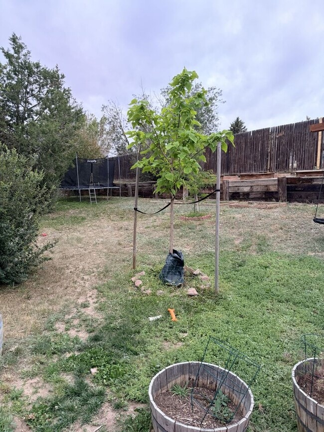 Building Photo - House For Lease