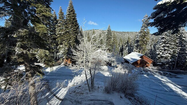 Building Photo - Charming Tahoe Donner Log Cabin with Hot Tub