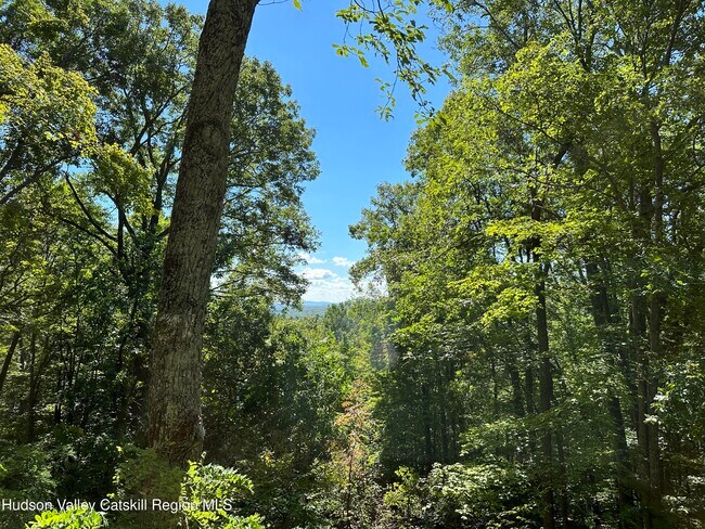 Building Photo - 26 Webster Rd