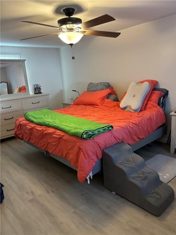 Building Photo - 8 Deluca St