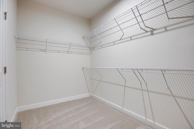 Building Photo - 4357 Black Tulip Wy