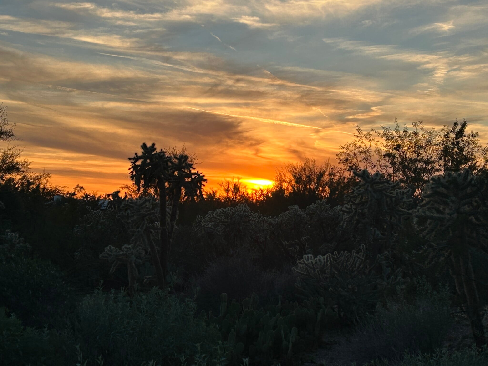 Building Photo - 10177 E La Palma Ave